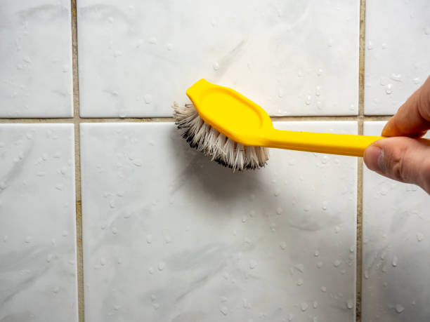 Best DIY Mold Remediation Support Services in Mount Jackson, VA